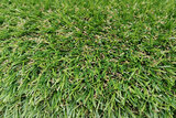 Umělý travní koberec venkovní 6909, výška 20 mm, rozměr 1 x 5 m