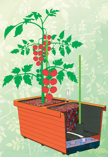 Samozavlažovací truhlík Berberis Duo, antracit Samozavlažovací truhlík Berberis Duo, antracit