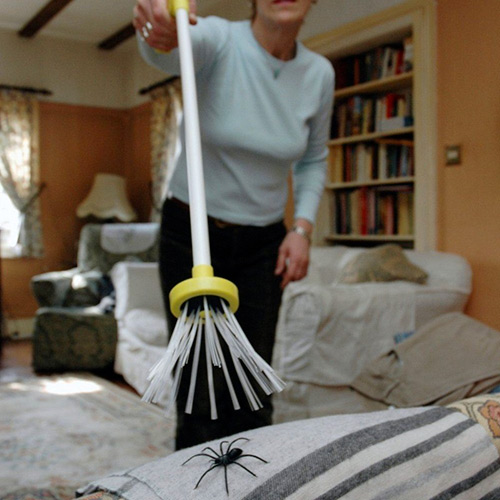 Chytač pavouků Spider Catcher 65 cm