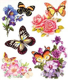 Okenní fólie motýli a květy 1 ks