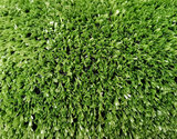 Venkovní koberec umělá tráva 6908 na balkon 2 x 5 m, zelený