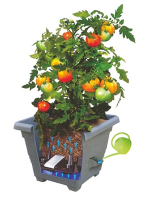 Samozavlažovací květináč Bergamot - terakota