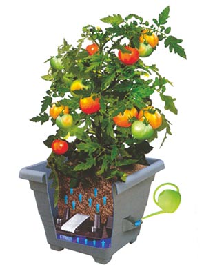 Samozavlažovací květináč Bergamot - terakota Samozavlažovací květináč Bergamot - terakota